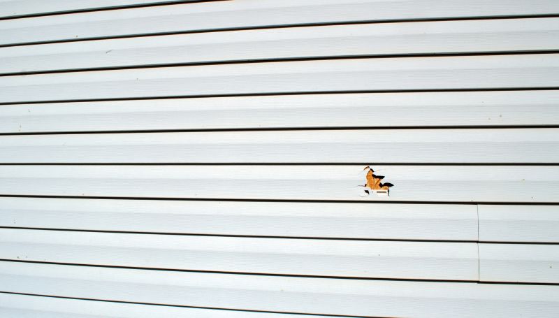 Common Causes of Damage